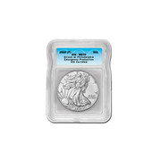 2020 (P) American Silver Eagle MS70 - Emergency ASE Production 