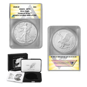 2025 American Silver Eagle Burnished Uncirculated SP70 (IS)